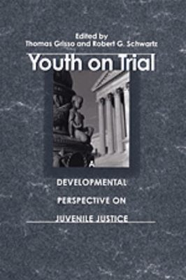  Youth on Trial! A Captivating Tale of Juvenile Delinquency and Moral Redemption